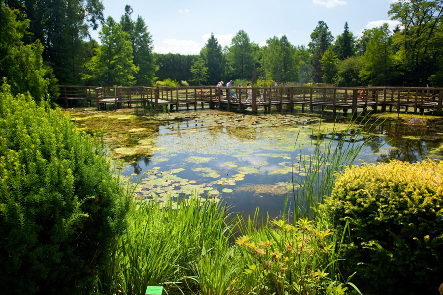 178_arboretum_1