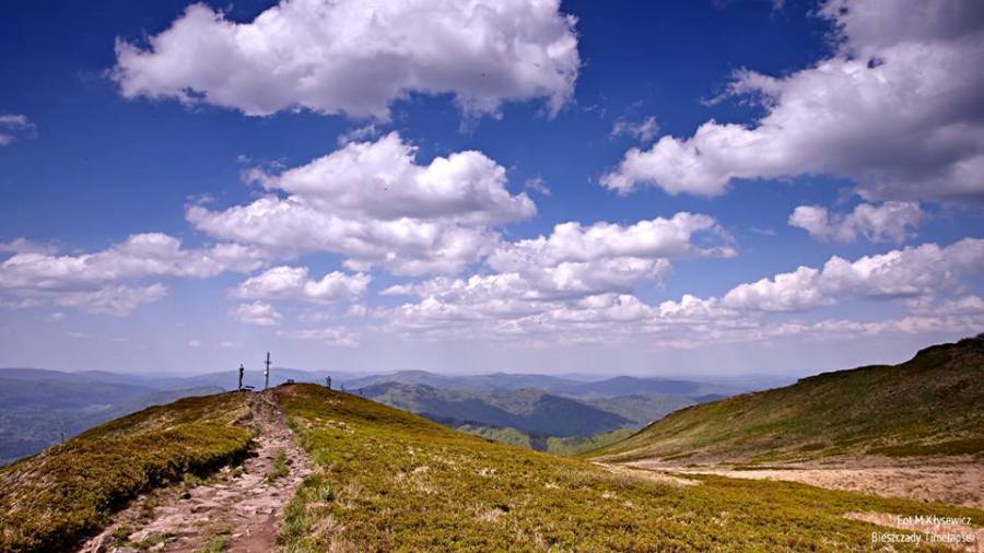 5531_Wiosna_2